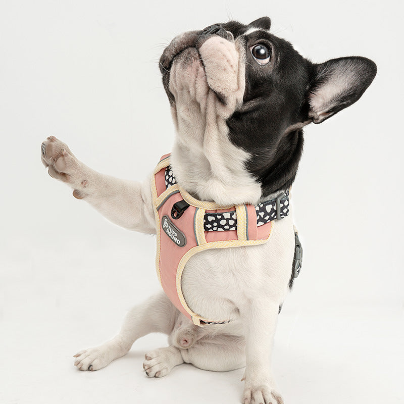 Durable Patterned French Bulldog Harness
