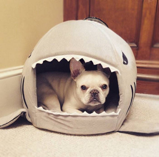 French Bulldog Shark House