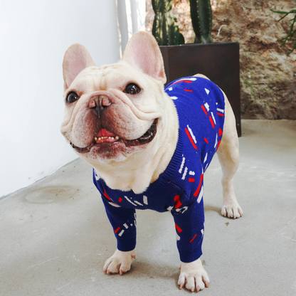 Blue French Bulldog Sweater