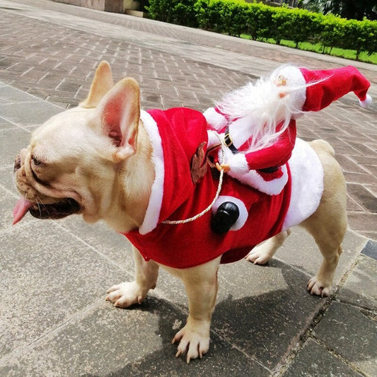 Santa French Bulldog Costume