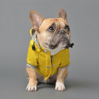 Yellow French Bulldog Raincoat