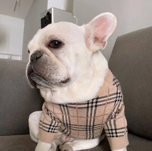 Plaid French Bulldog Sweater
