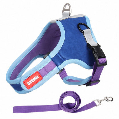 Reflective Frenchie Harness And Leash Set