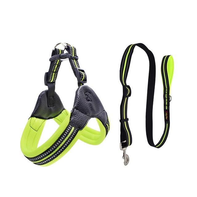 Barry Frenchie Reflective Harness and Leash Set Green XS