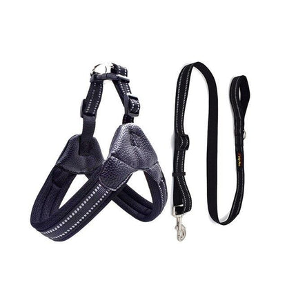 Barry Frenchie Reflective Harness and Leash Set Black M