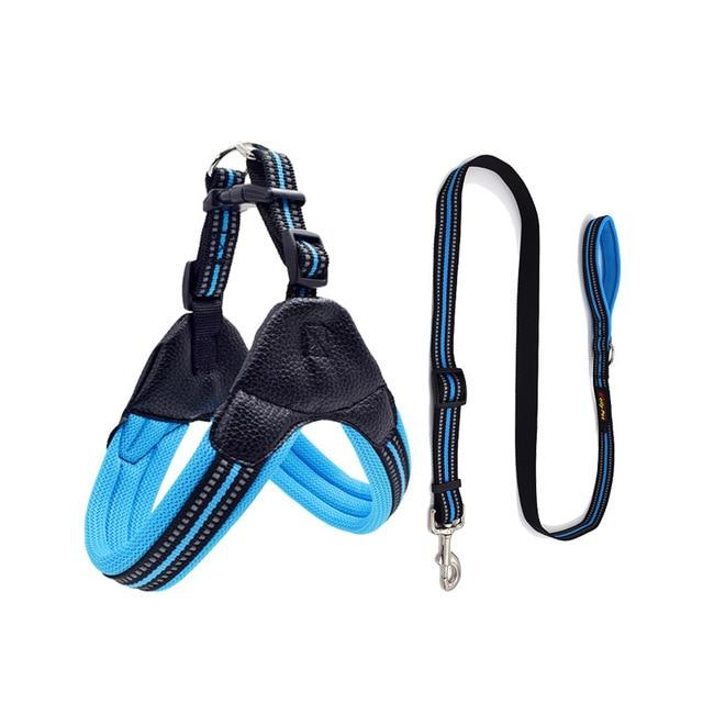 Barry Frenchie Reflective Harness and Leash Set Blue XS