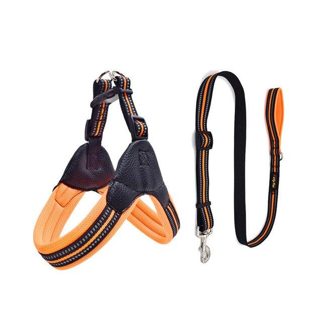 Barry Frenchie Reflective Harness and Leash Set Orange S