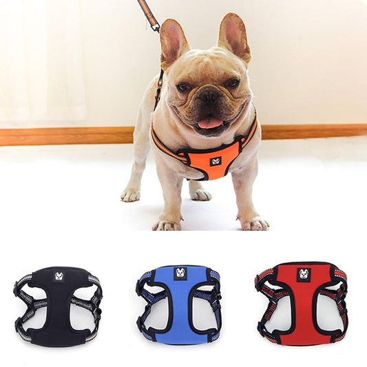 Frankie French Bulldog Solid Harness and Leash Set Black S