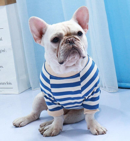 French Bulldog Striped Sweater Blue S