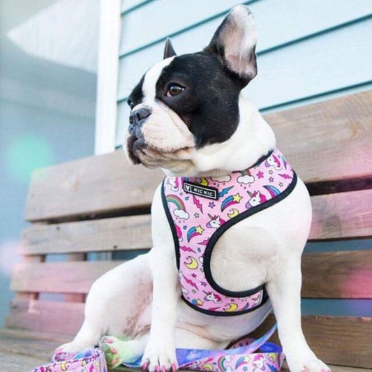 French Bulldog Unicorn Harness And Leash Set Blue Harness XL