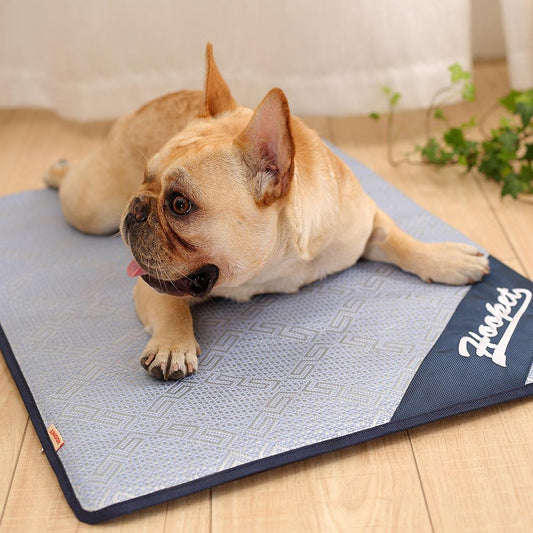 Frenchie Cooling Mat Pad Blue M