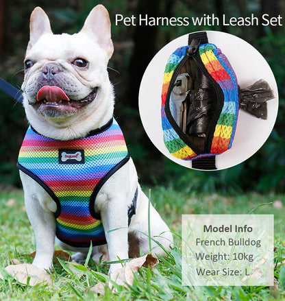 Rainbow Breathable French Dog Harness & Leash Rainbow M