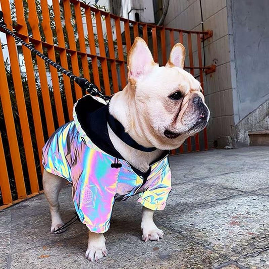 Reflective-Waterproof Frenchie Hooded Jacket S