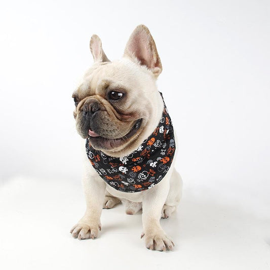 Pirate French Bulldog Bandana