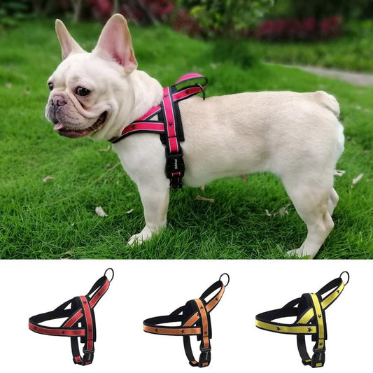 Super Star Frenchie Dog Harness And Leash Set Red Harness S
