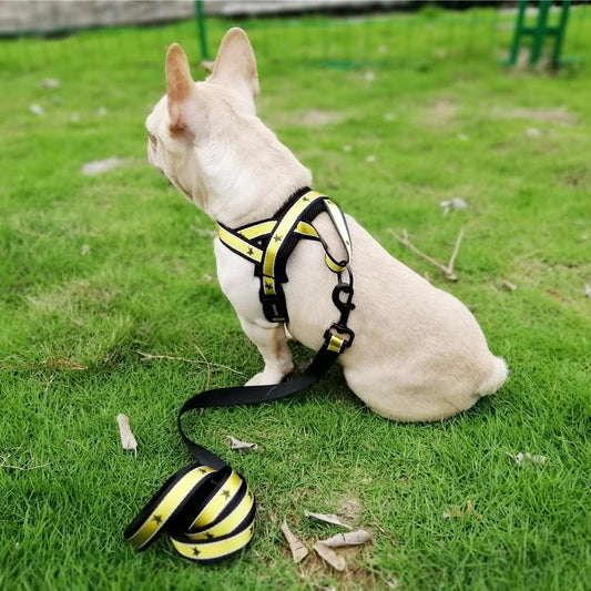 Super Star Frenchie Dog Harness And Leash Set Red Harness S