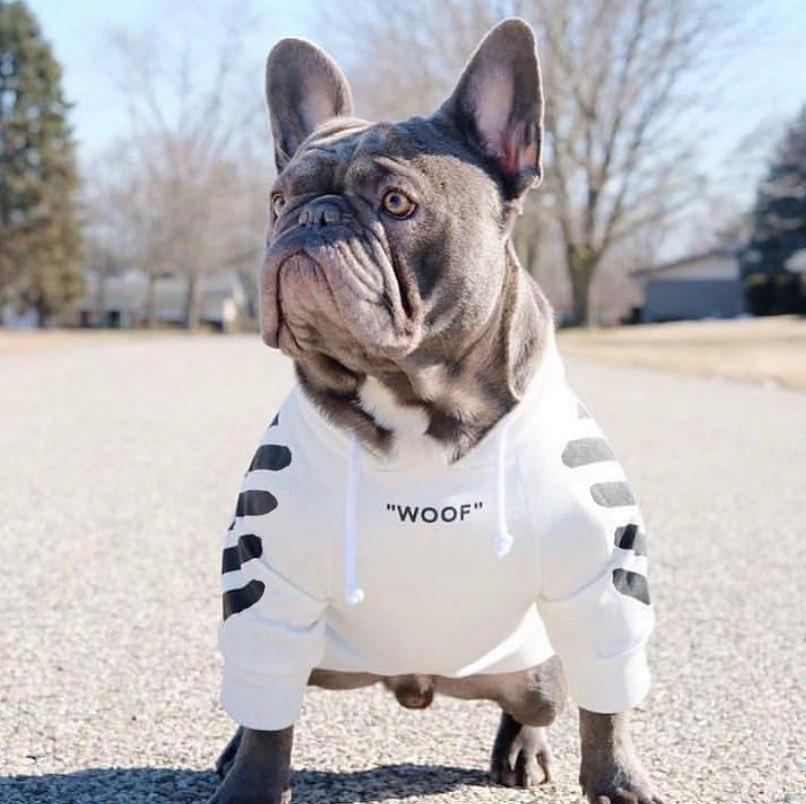 "Woof" French Bulldog Striped Hoodie White S-Chest-30-38cm