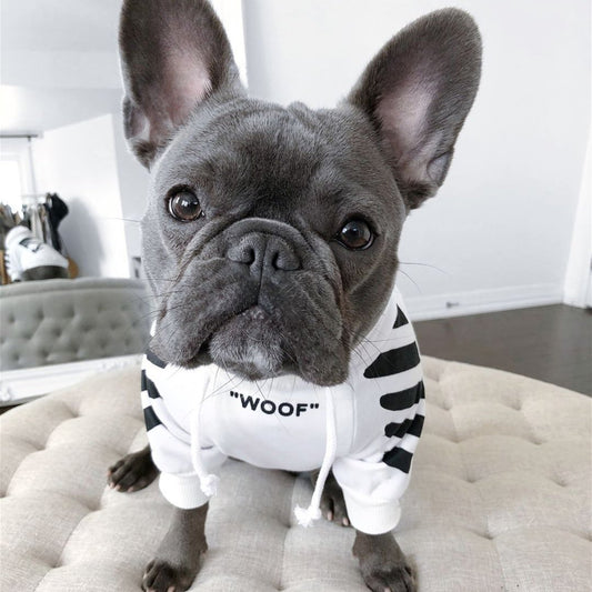 "Woof" French Bulldog Striped Hoodie White S-Chest-30-38cm