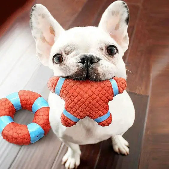 Star French Bulldog Toy