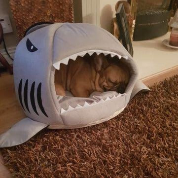 French Bulldog Shark House