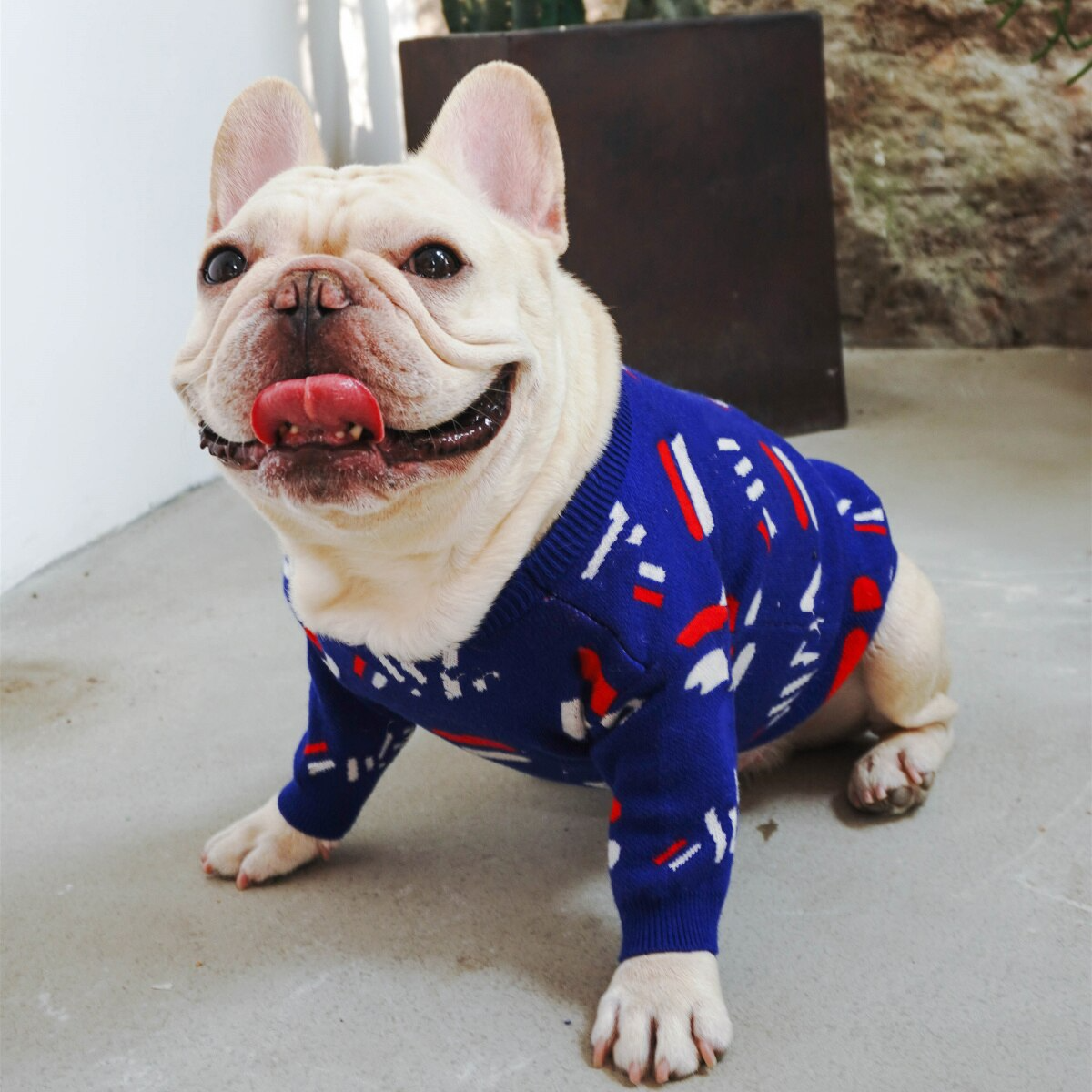 Blue French Bulldog Sweater