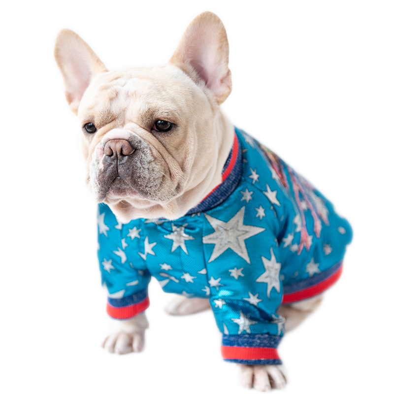 Galaxy French Bulldog Jacket