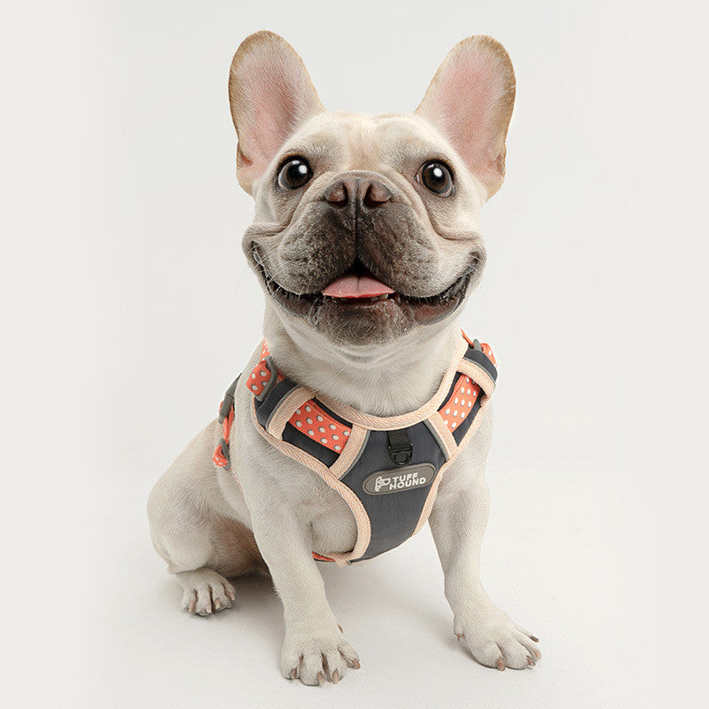 Durable Patterned French Bulldog Harness