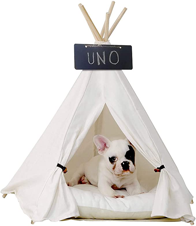 Teepee French Bulldog Bed