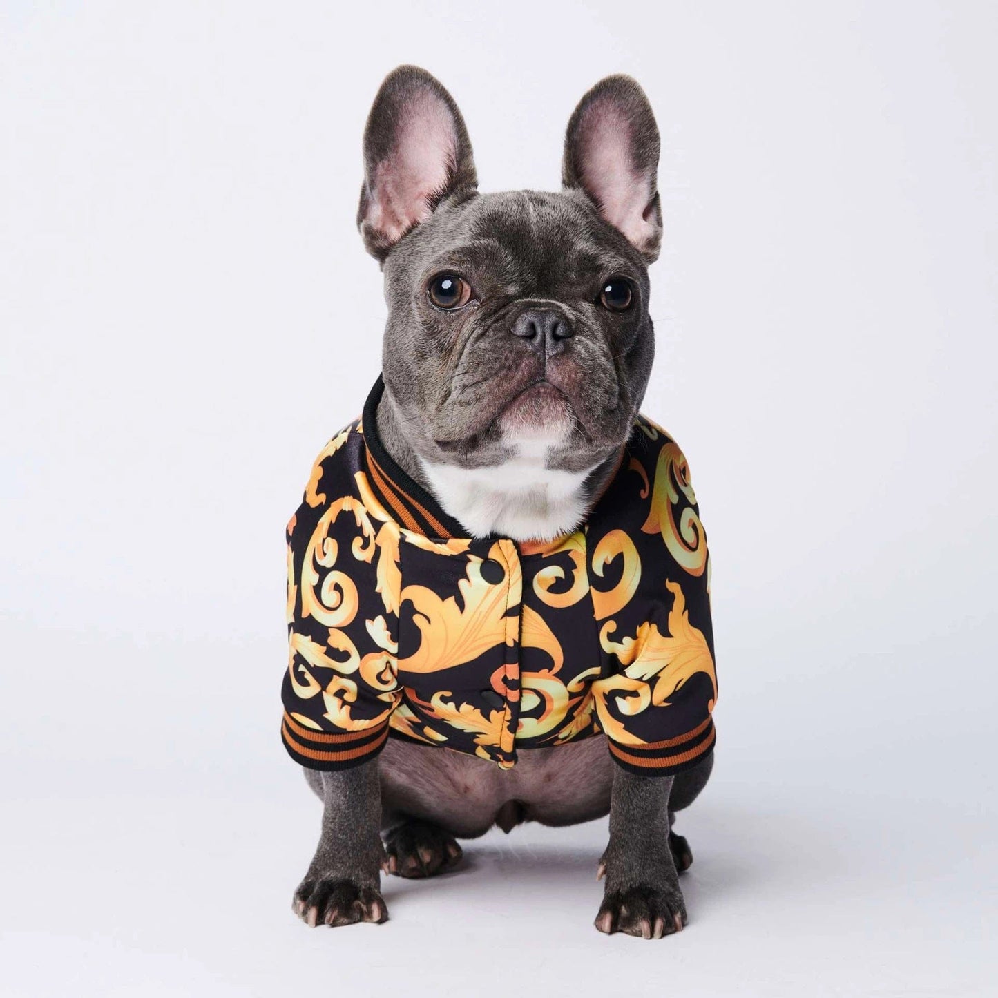 Pawsace French Bulldog Jacket