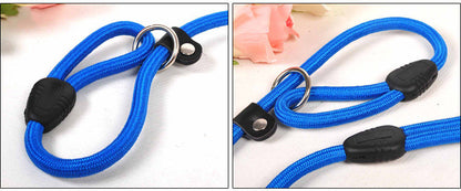 Nylon Rope Frenchie Leash