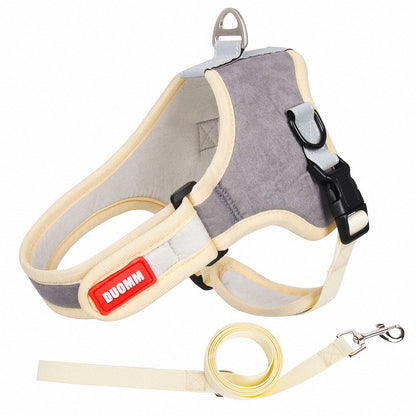 Reflective Frenchie Harness And Leash Set