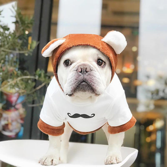 Frenchie Bear Costume