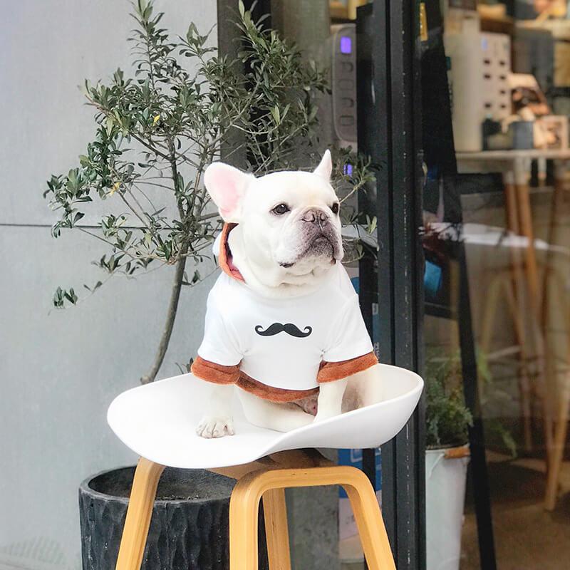 Frenchie Bear Costume