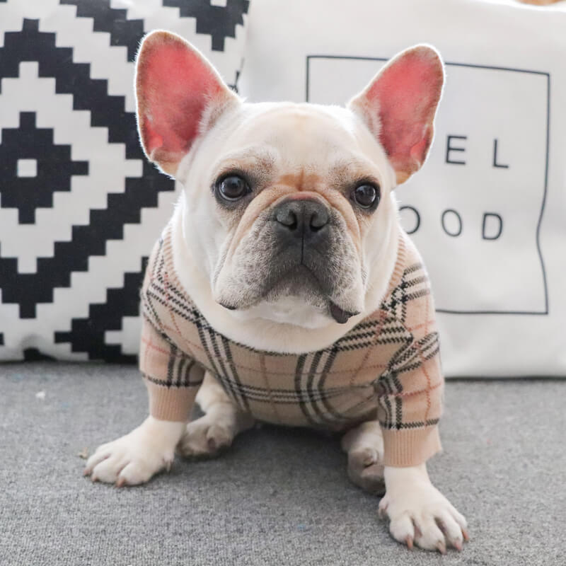 Plaid French Bulldog Sweater