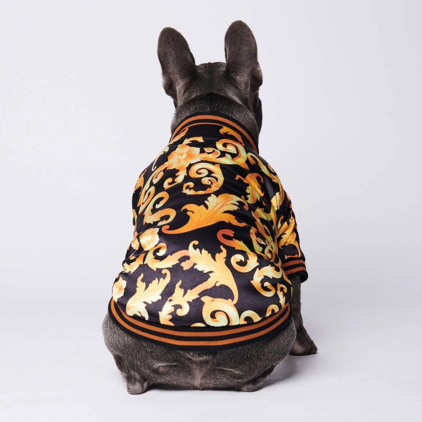 Pawsace French Bulldog Jacket