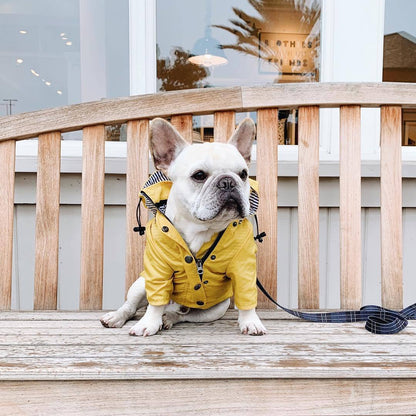 Yellow French Bulldog Raincoat