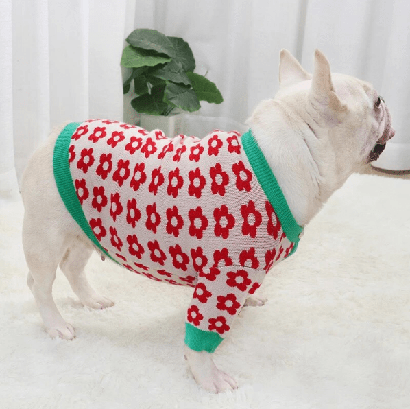 Flowers French Bulldog Sweater