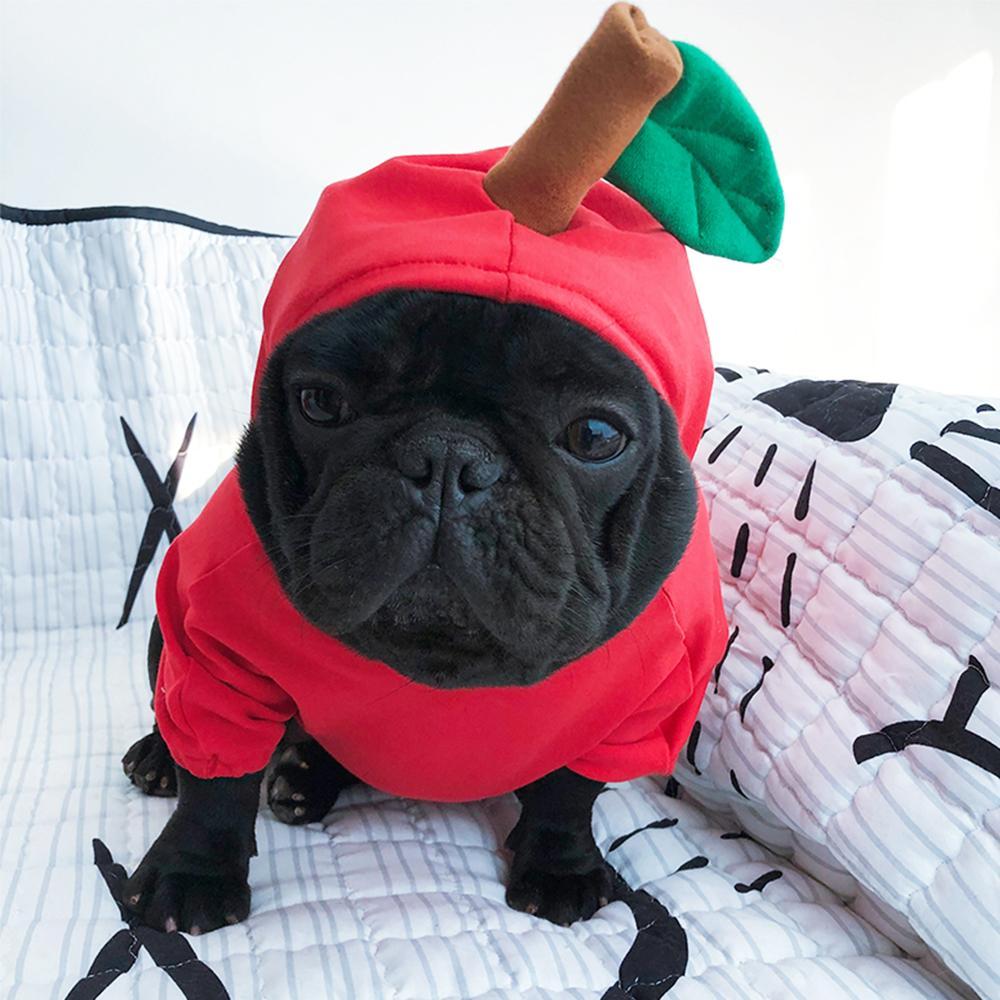 Frenchie Apple Halloween Costume