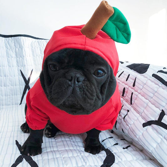 Frenchie Apple Halloween Costume