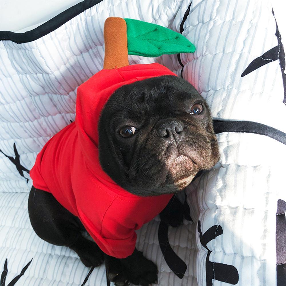 Frenchie Apple Halloween Costume