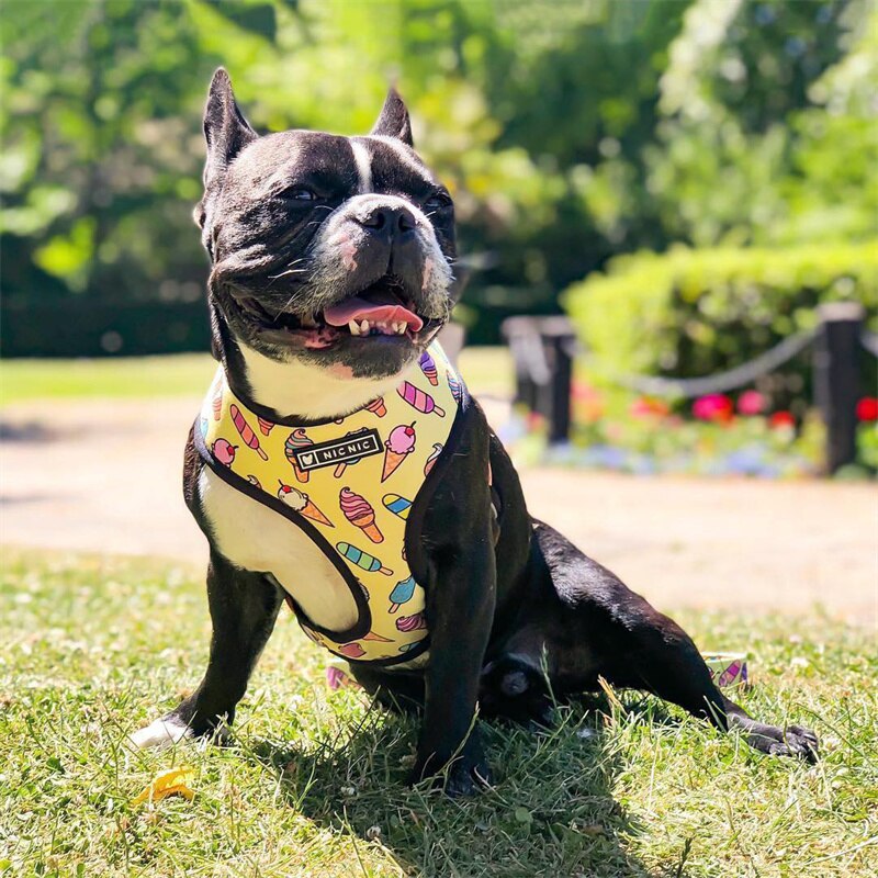 Yellow Ice Cream  French Bulldog Harness And Leash Set