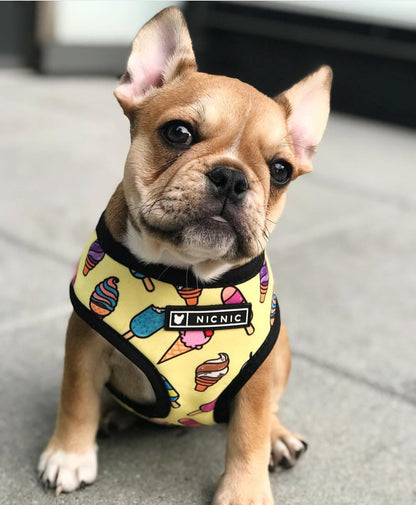 Yellow Ice Cream  French Bulldog Harness And Leash Set