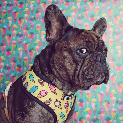 Yellow Ice Cream  French Bulldog Harness And Leash Set