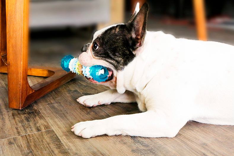 Tooth Cleaning Dog Chew Toy