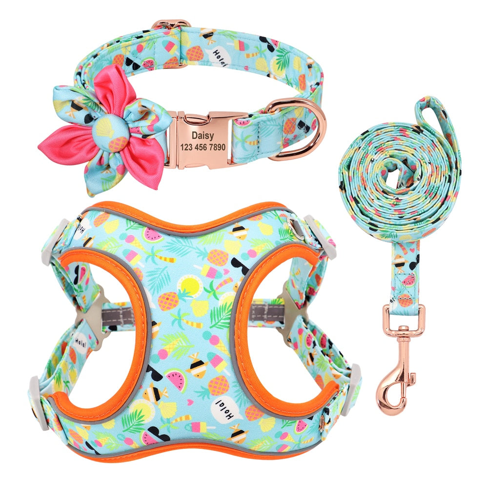 Fruity French Bulldog Collar Harness And Leash Set