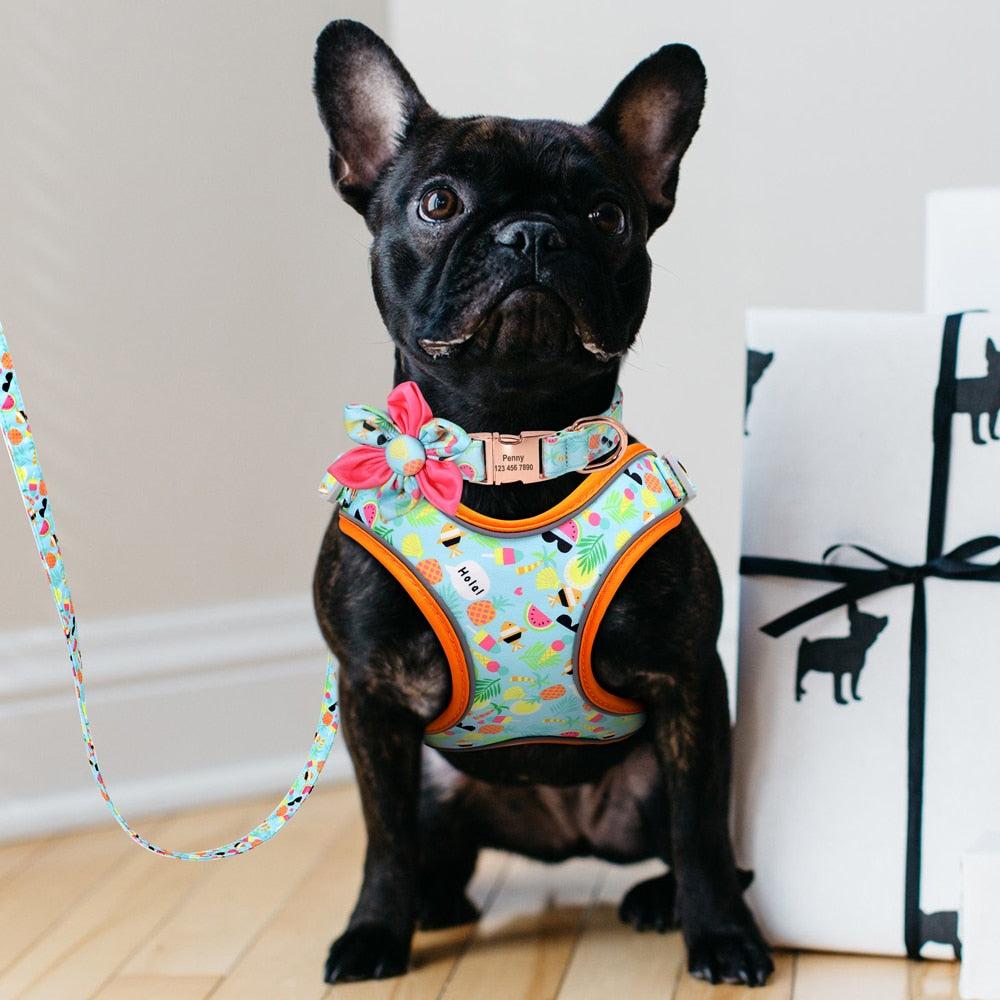 Fruity French Bulldog Collar Harness And Leash Set