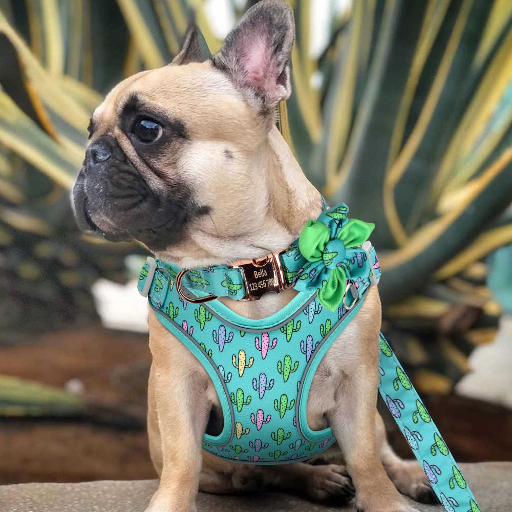 Fruity French Bulldog Collar Harness And Leash Set