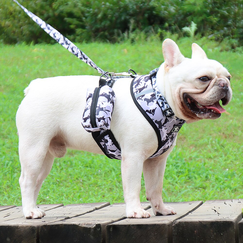 French Bulldog Harness With Waste Bag Dispenser