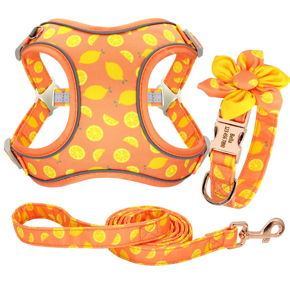 Fruity French Bulldog Collar Harness And Leash Set