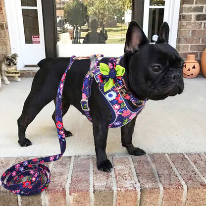 Floral French Bulldog Collar Harness And Leash Set